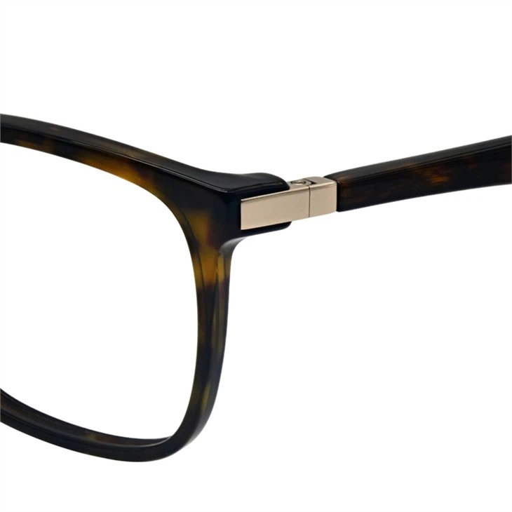Tortoise Designer Optical Glasses Tortoise Designer Optical Glasses